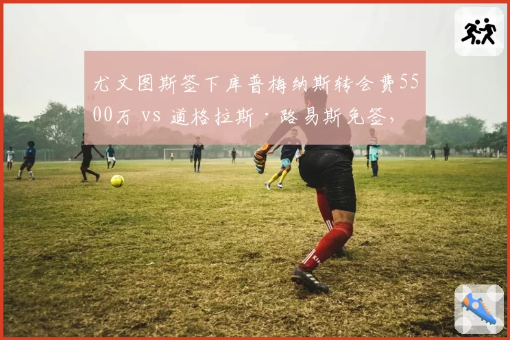 尤文图斯签下库普梅纳斯转会费5500万 vs 道格拉斯·路易斯免签，斑马中场谁更值？