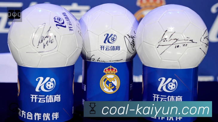 开云平台展示图